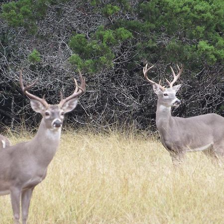 منزل الضيف بانديرا  في Hunters Cabin المظهر الخارجي الصورة